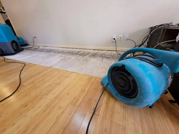 Professional Flood Damage Cleanup technician working in South Bay, FL